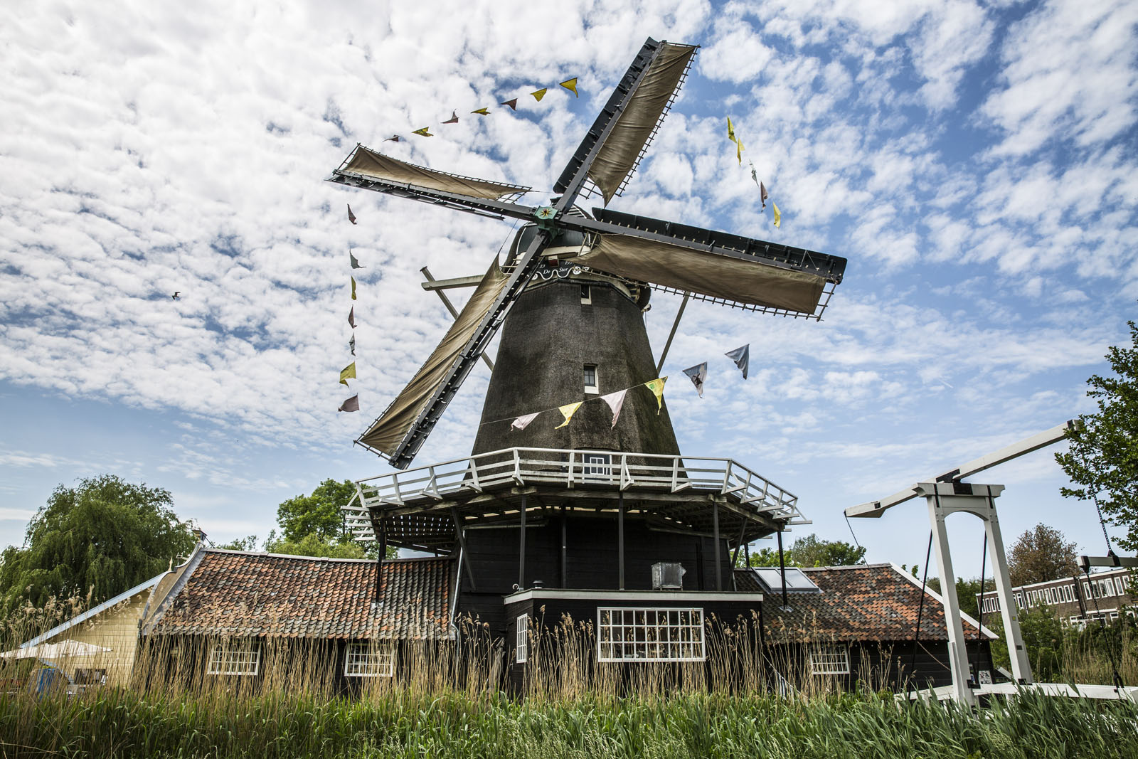 Nationale Molendag Nederland met kinderen - Mamaliefde