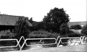 Molen De Ster 1980 of 1982 - Fotograaf onbekend