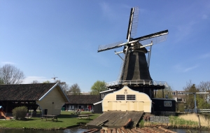 Molen de Ster Utrecht